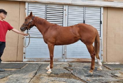 ��ٸ���ǳ ����