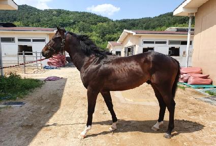 ��Ʈ���� ����