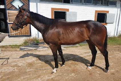 �μ��̼ź� ����