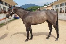 �ϴ����� (HANEUL JEONSA) ����