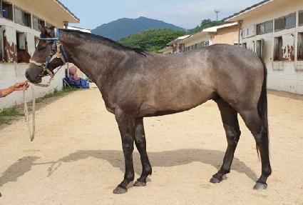 �ϴ����� ����