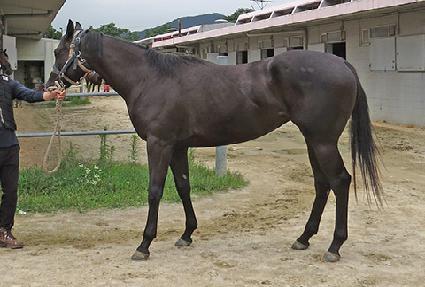 ��Ŭ���� ����