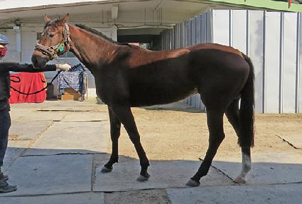 ���ڵ��� ����