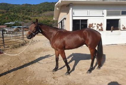 �����Ʈ ����