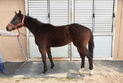 ���丮���� ����