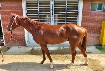 Ư��ķ�� ����