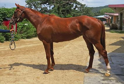 �ǿ������� ����