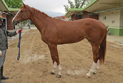 Ʈ��Ƽ���� ����