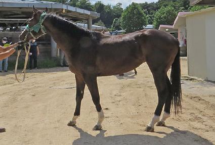 �������� ����