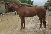 NEOREUL EUNGWONHAE picture