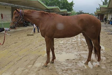 �ʸ������� ����