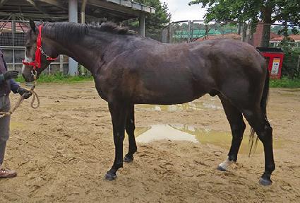 �õ彺ŸƮ ����