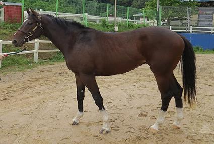 ����Ŀ� ����