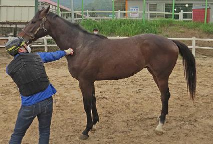 ��������̵� ����