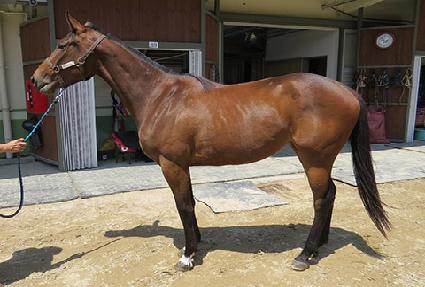 ���̺����̵� ����