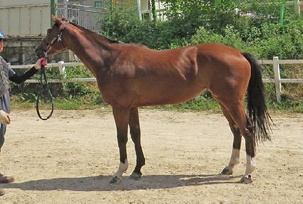 �θ������̵� ����