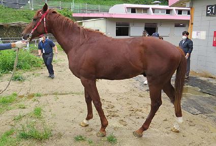 ��������� ����