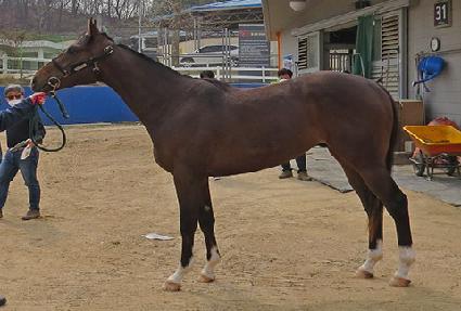 ���Ǽ��� ����