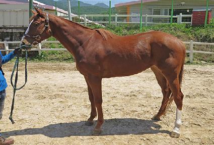 ����Ǯ������ ����