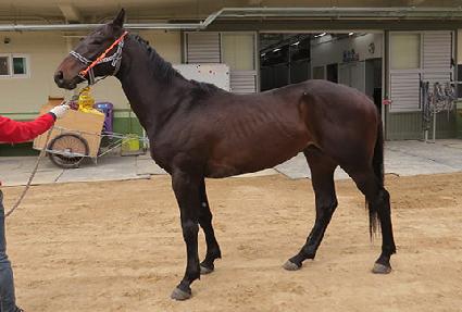 �ǿ������� ����