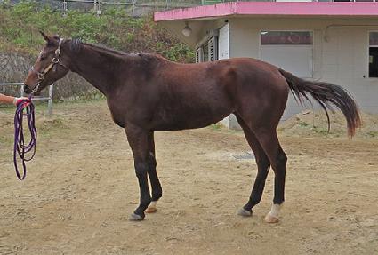 �޴ϵ��� ����