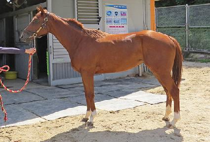 ��������̵� ����