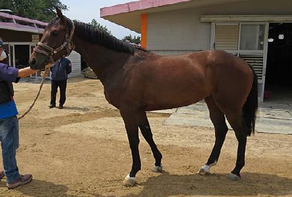 ���߳� ����