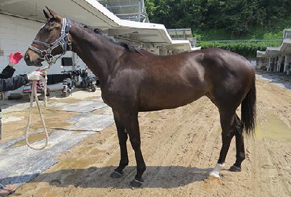 ���Ǵ�� ����