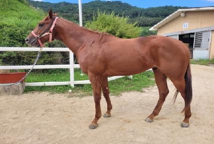 �����ᵹ�� ����