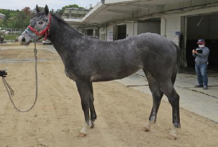 �ǿ������� ����