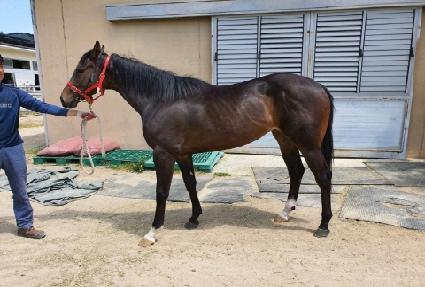 ��������Ʈ ����