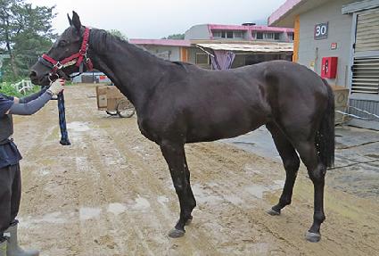 õ�տ��� ����