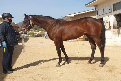 �ٺ����� ����