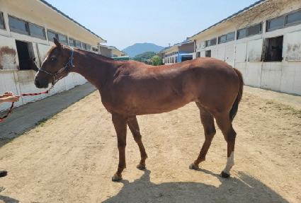 ����� ����