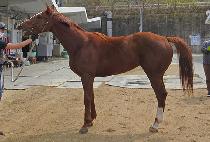 Ǫ������ (PUREUN YOJEONG) ����