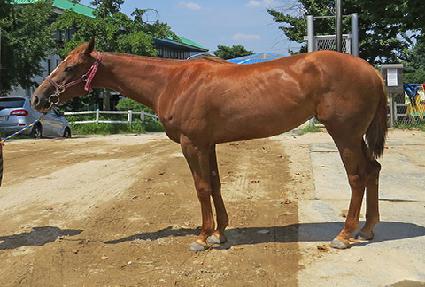 �뽺���� ����