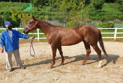 ��뷯�� ����