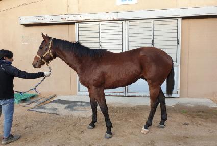 �׷���Ʈ���� ����