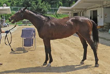 �������İ� ����