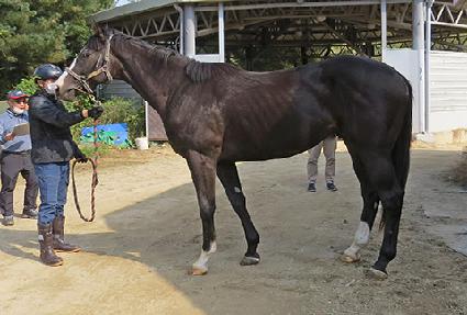 ũ������ ����