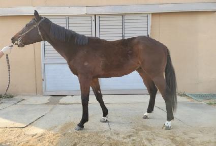 ���ŷ ����