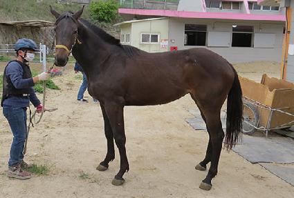 ���Ϻ����̵� ����