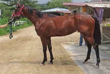 ��û�� ����