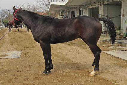 ��¹ٶ� ����