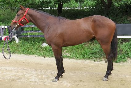 ��ǪƮ��ũ ����