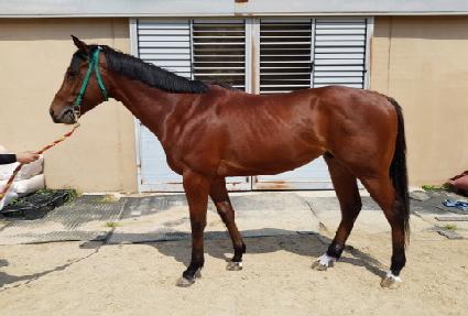 �����ӻ�å ����