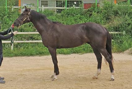 �����ε� ����