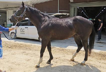 ��õ��Ƽ ����