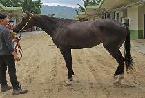 �ǹٱ� (TTOBAGI) ����