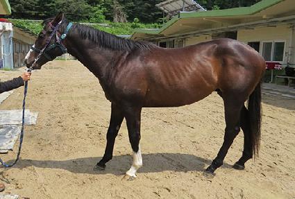 ����Ǯ��� ����